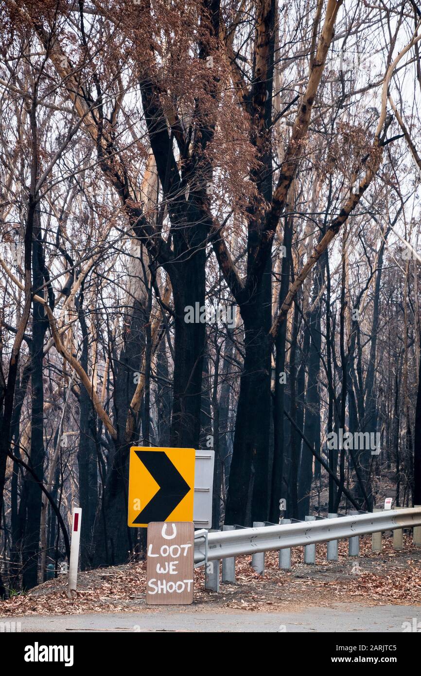 Los residentes de Mogo fugaban como fanfarrones por la costa sur de Nueva Gales del Sur durante los incendios forestales australianos en 2020, Mogo, Nueva Gales del Sur, Australia © Hugh Peterswald/Alamy Foto de stock
