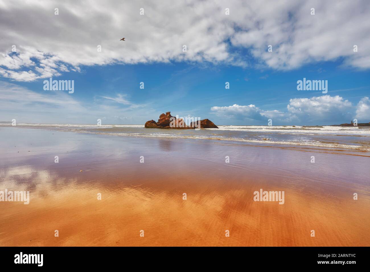 La costa del Océano Atlántico, la arena dorada, el cielo azul, las pequeñas rocas se reflejan en la ola costera. Playa Cerca De Esoueira, Marruecos Foto de stock