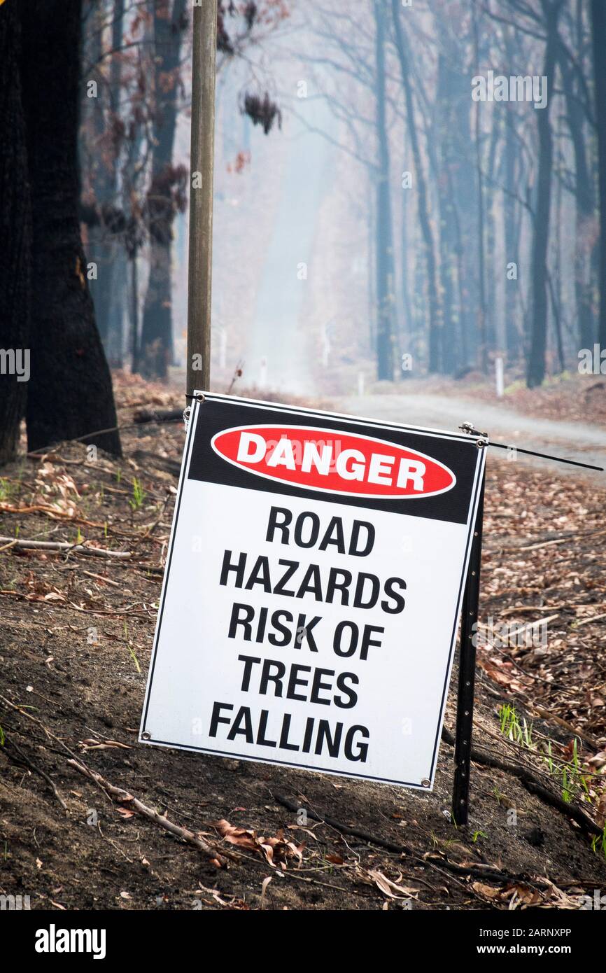 Los residentes de Mogo fugaban como fanfarrones por la costa sur de Nueva Gales del Sur durante los incendios forestales australianos en 2020, Mogo, Nueva Gales del Sur, Australia © Hugh Peterswald/Alamy Foto de stock