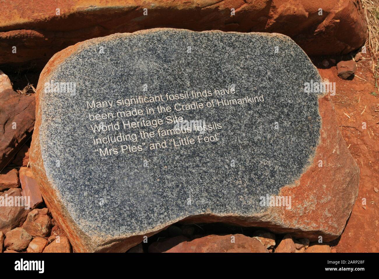 Señora ples fotografías e imágenes de alta resolución Alamy