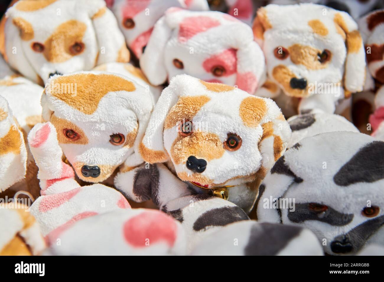 Ibajay, provincia de Aklan, Filipinas: Primer plano de pequeños super lindo peluche perros para la venta en Asia Foto de stock