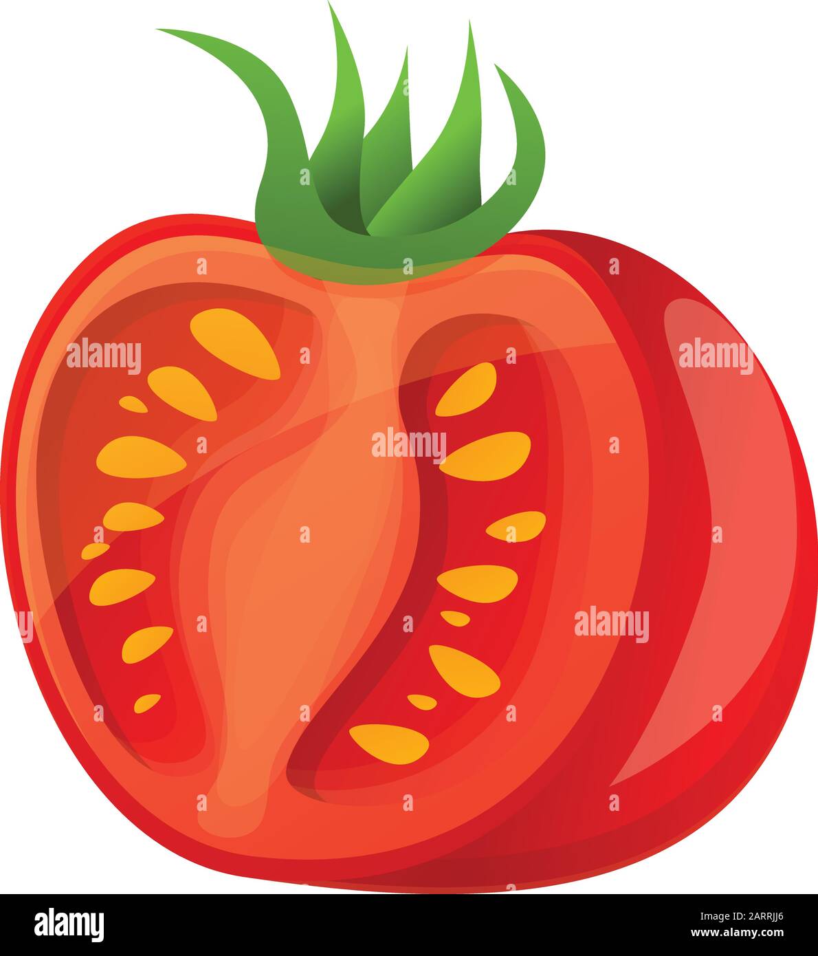 Icono de tomate cortado. Dibujo animado del icono del vector del tomate  cortado para el diseño de la tela aislado en fondo blanco Imagen Vector de  stock - Alamy