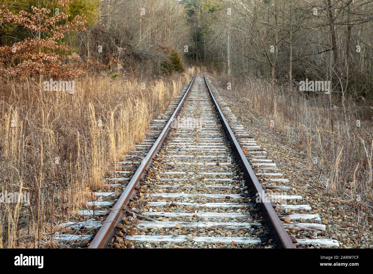 Vías de ferrocarril abandonadas que conducen al bosque. Penrose (cerca de Brevard), Carolina del Norte, Estados Unidos Foto de stock