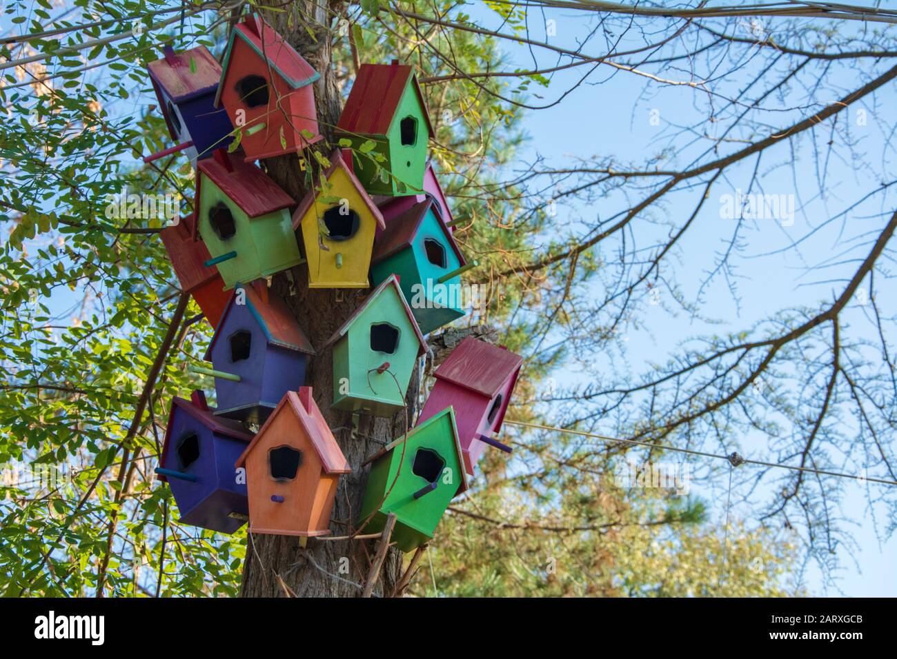 Nidos de pájaros coloridos en un árbol Foto de stock