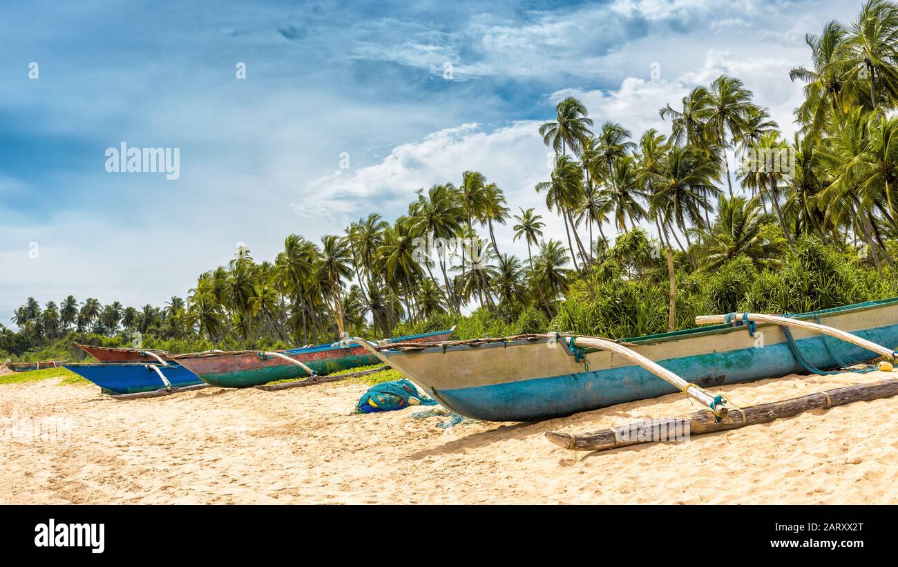 Barcos de pesca tradicionales antiguos en la playa de Sri Lanka. Vista panorámica de la playa con cocoteros. Foto de stock