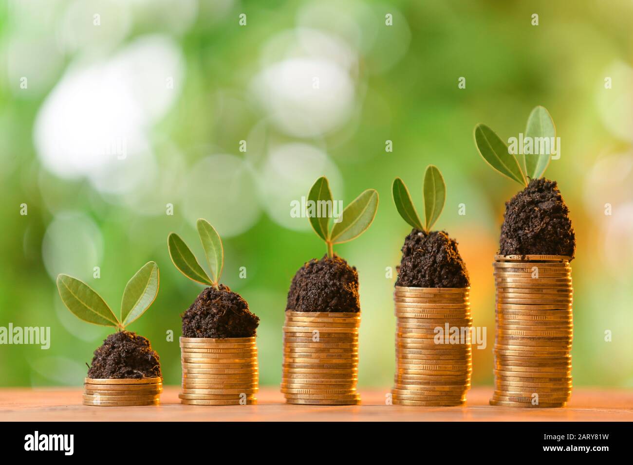 Monedas con plantas en crecimiento sobre la mesa contra fondo borrosa. Concepto de ahorro de dinero Foto de stock