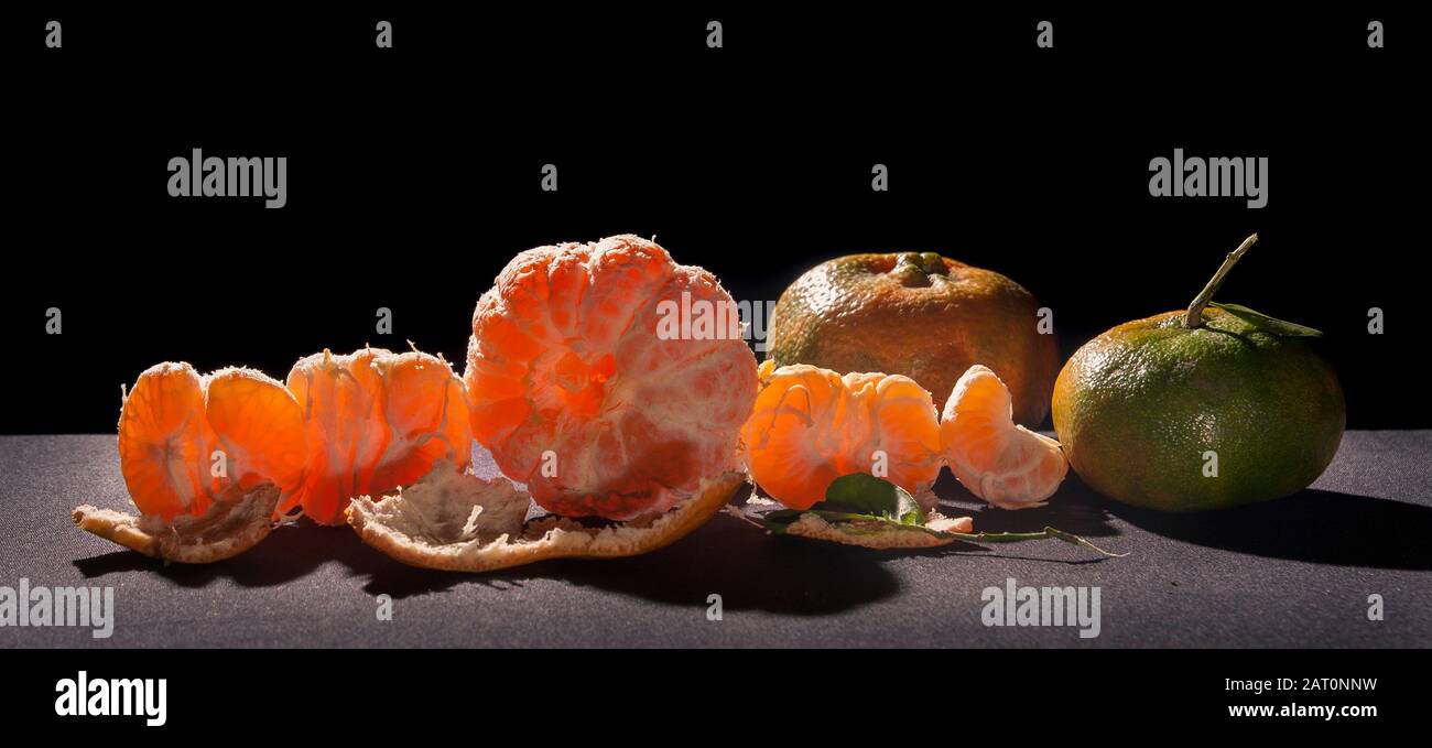 naranjas mandarina, cítricos reticula.on mesa con fondo negro y luz de espalda vida fija .mandarina variedad naranja contiene pomelo y c vitamina. Foto de stock