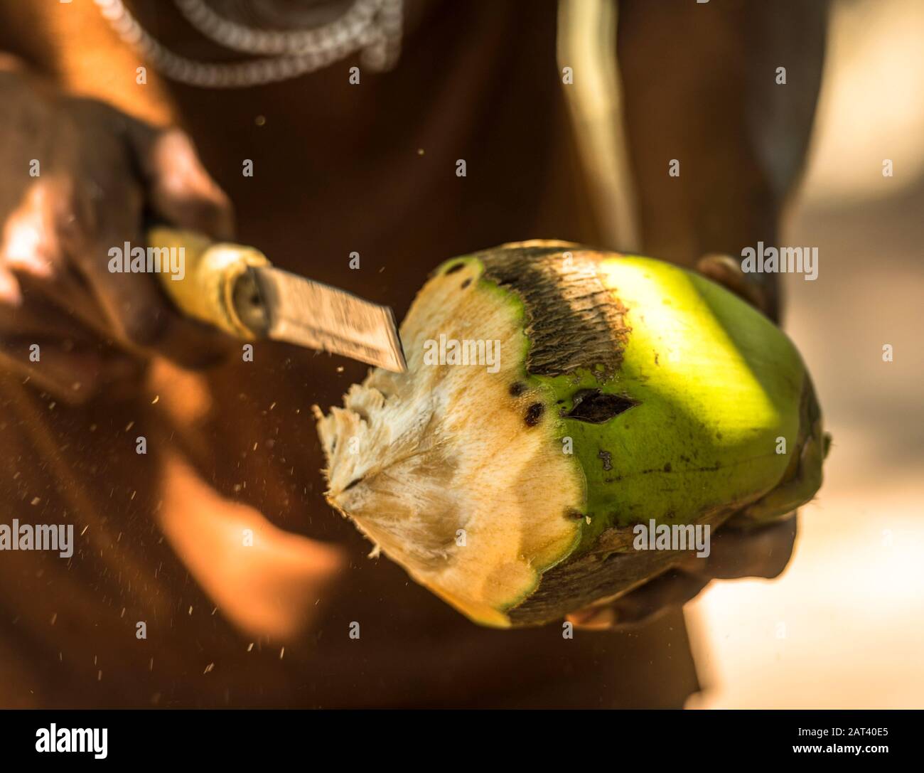 Zanzíbar. Después de escalar el árbol para buscar un coco, las rodajas de agricultor abrir la fruta con una hoja de aspecto peligroso, lo pasa alrededor de manera que cada s Foto de stock