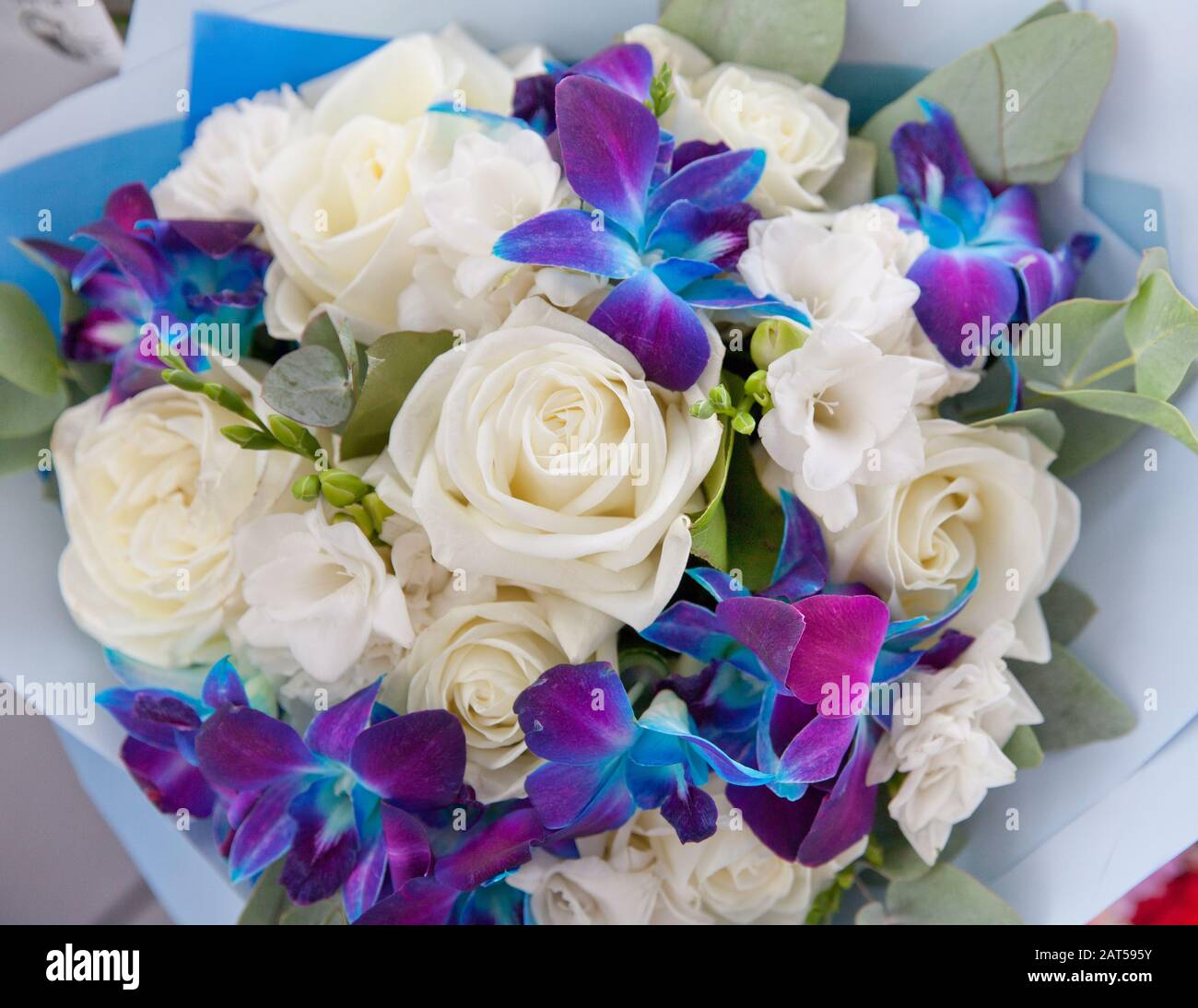 Rosas blancas con orquideas azules fotografías e imágenes de alta  resolución - Alamy