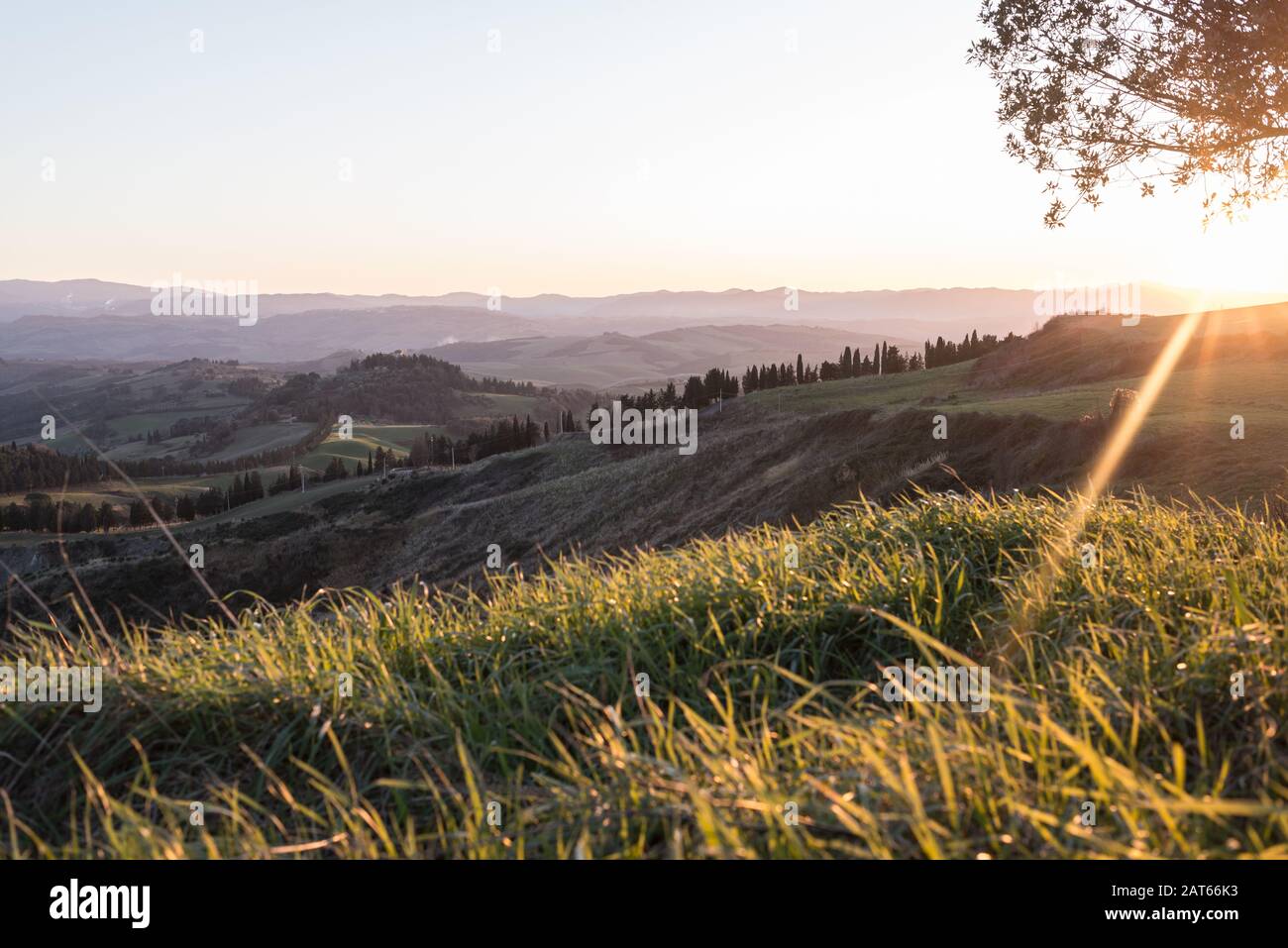 Toscana colinas campiña paisaje italiano colorido al atardecer. Italia. Luz solar directa en la cámara Foto de stock