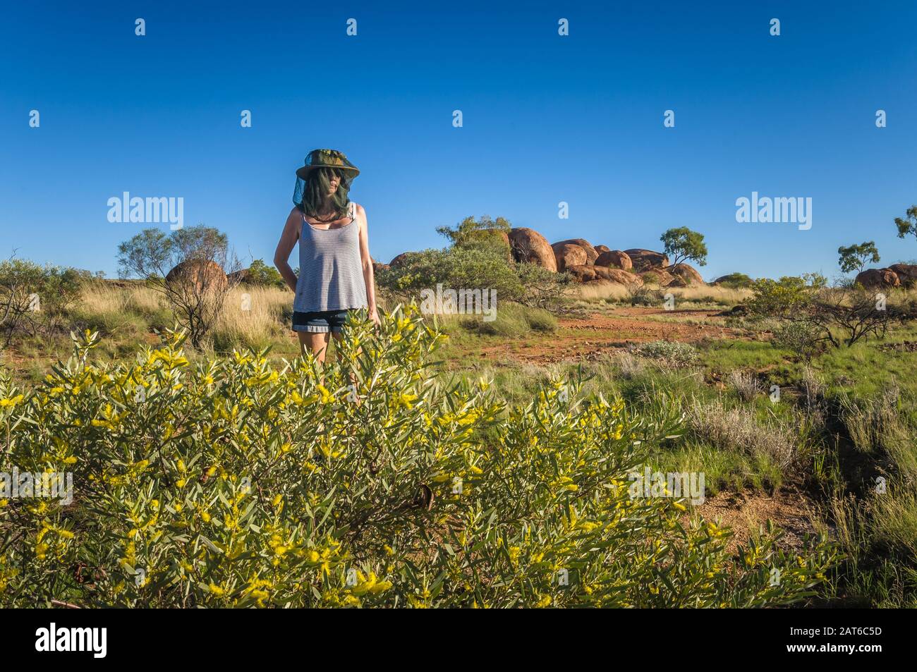 Caminante turístico junto al arbusto de flores del desierto en el Parque de Conservación de los Mármoles del Diablo, territorio del Norte, Australia. Foto de stock