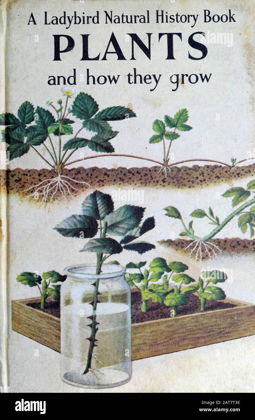 Ladybird Book “plantas y cómo Crecen” Portada cover libros para niños vintage en Inglaterra Reino Unido KATHY DEWITT Foto de stock