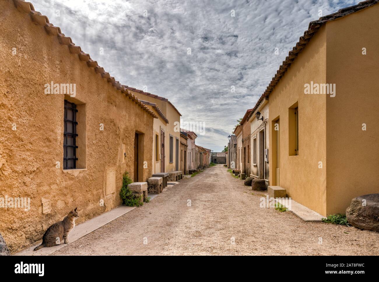 Gato solitario en la calle en un pueblo desierto de San Salvatore, península de Sinis, municipio de Cabras, provincia de Oristano, Cerdeña, Italia Foto de stock