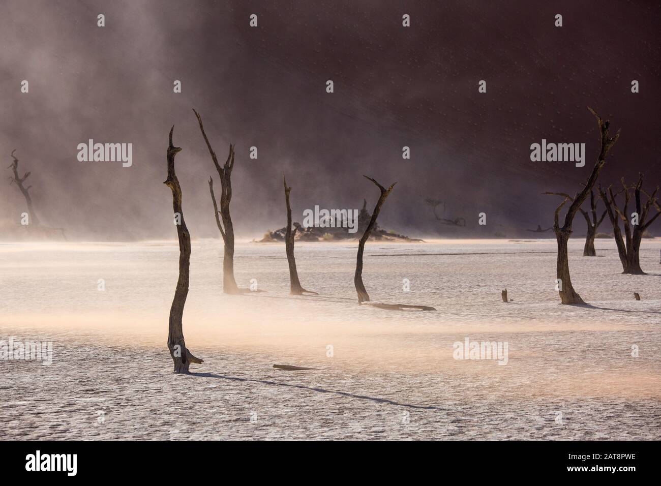Siluetas de árboles centenarios en seco en el desierto entre dunas de arena roja. Inusual paisaje alienígena surrealista con esqueletos de árboles muertos. Deadvlei, NA Foto de stock