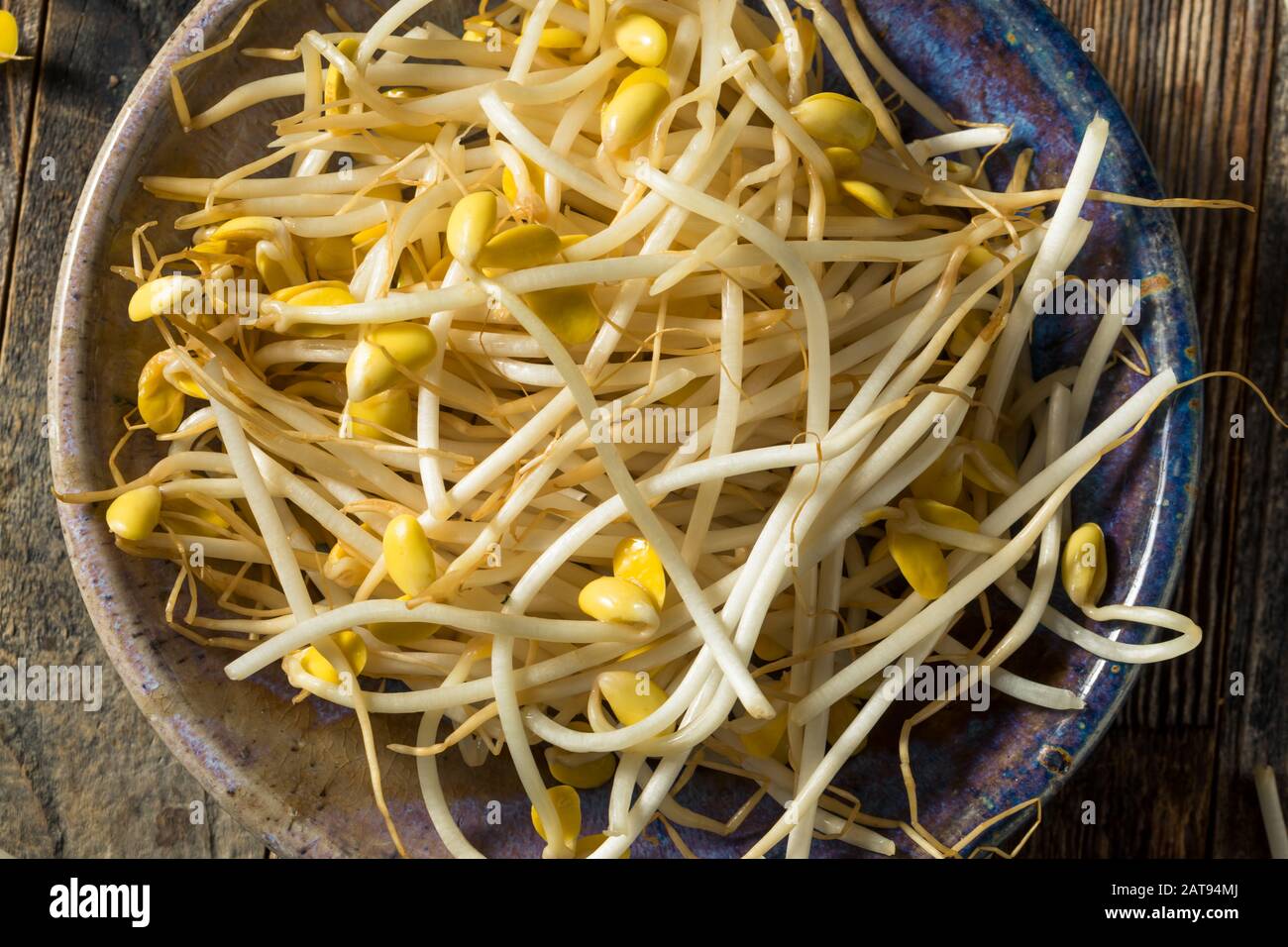 Penetración Flor de la ciudad Abastecer Materias Blanco Ecológico de brotes de soja en un cuenco Fotografía de stock - Alamy Penetración Flor de la ciudad Abastecer Materias Blanco Ecológico de brotes de soja en un cuenco Fotografía de stock - Alamy