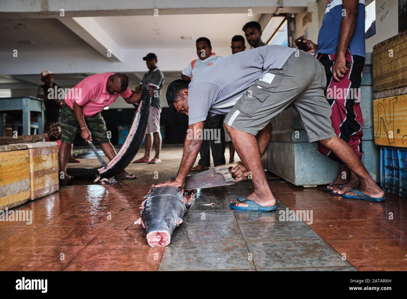 Pescadores locales limpiando pescado en Sri Lanka. Foto de stock