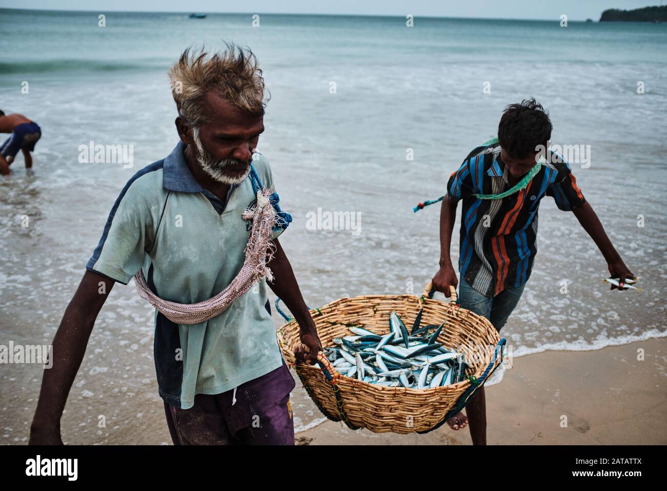 Dos hombres de Sri Lanka que llevan pescado en una cesta de bambo en la playa de Trincomalee y lo lavan en el océano. Foto de stock