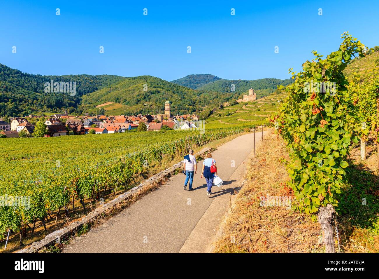 Un par de personas no identificadas que caminan entre viñedos verdes hasta el pueblo medieval de Kaysersberg en la Ruta del vino de Alsacia, Francia Foto de stock