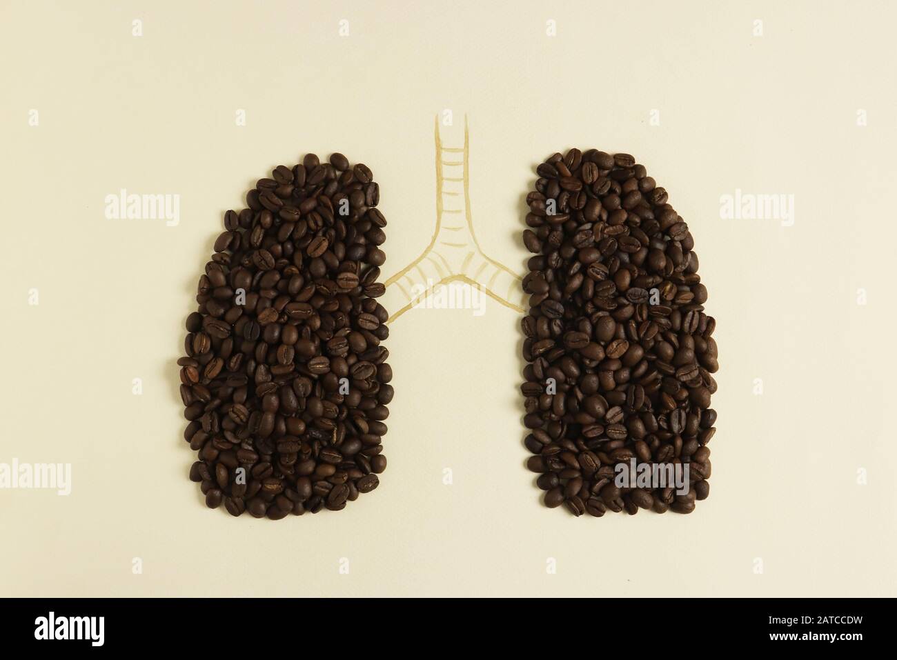 Pulmones humanos conceptuales Foto de stock