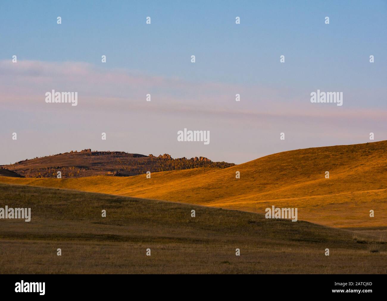 Paisaje de pastizales de estepa, reserva natural del Parque Nacional Hustai o Khustain Nanuu, provincia de Tov, Mongolia, Asia Foto de stock