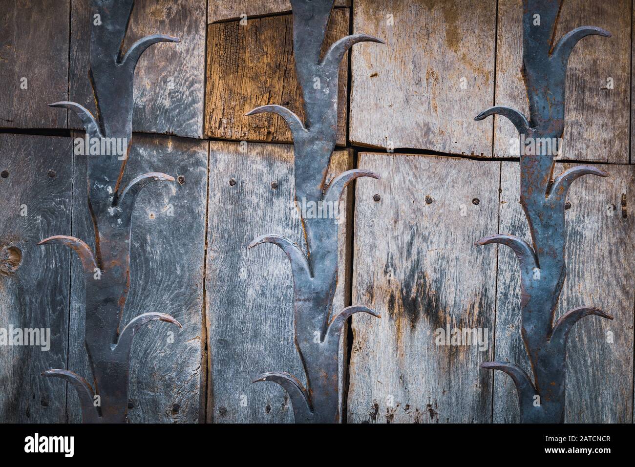 Detalle de una antigua puerta de madera con barras decorativas de hierro fundido Foto de stock