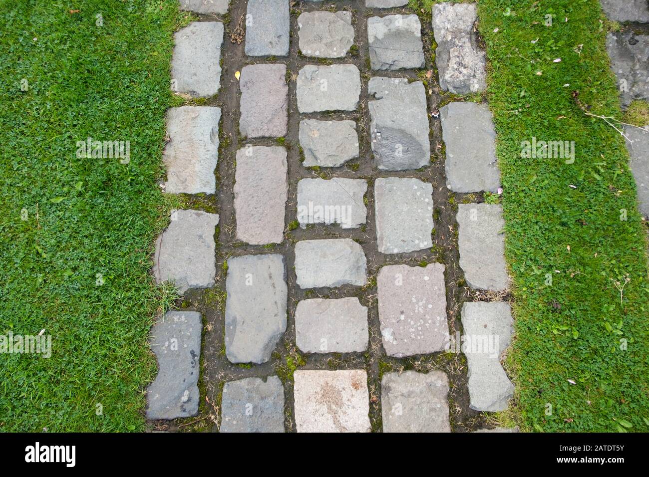 Primer plano de pequeñas losas de pavimentación de ladrillo en un patrón de rejilla para hacer un camino de jardín en un césped, en Escocia, Reino Unido Foto de stock