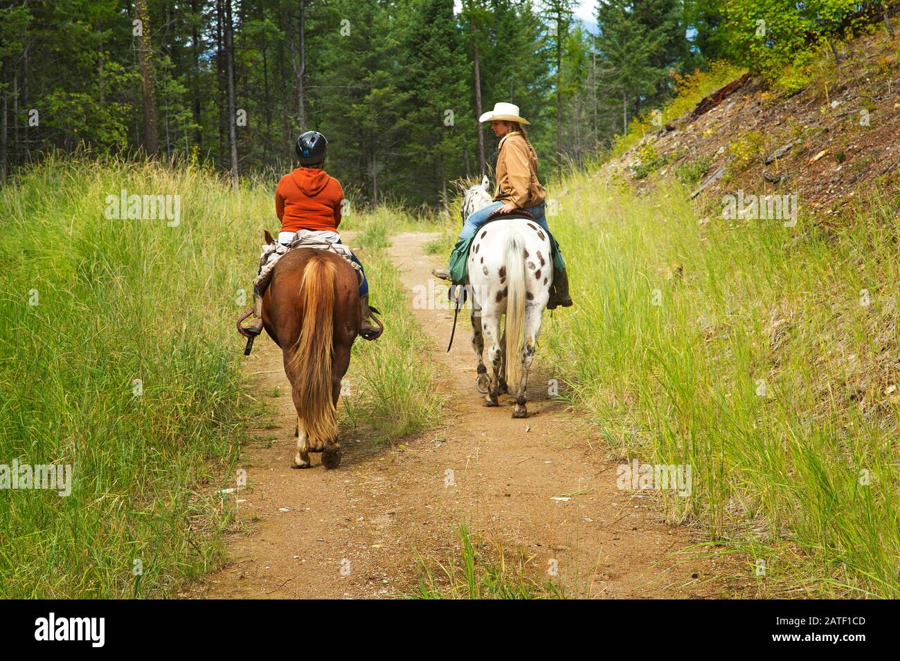 Equitación en Montana, Estados Unidos Foto de stock