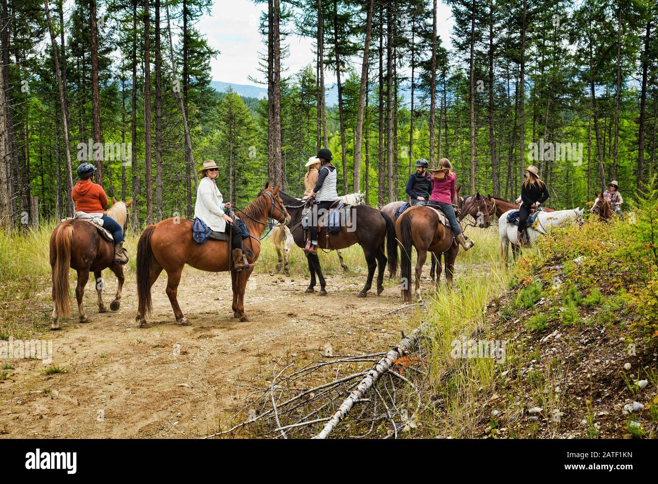 Equitación en Montana, Estados Unidos Foto de stock
