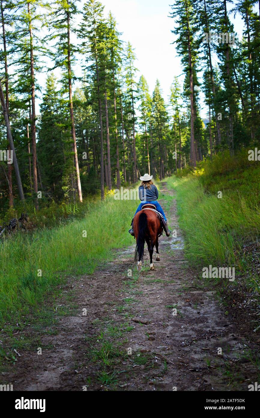 Una joven cabalgata en Montana, Estados Unidos Foto de stock