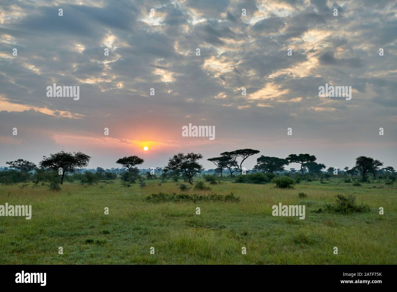 Paisaje con amanecer en el Parque Nacional Serengeti, Patrimonio de la Humanidad de la UNESCO, Tanzania, África Foto de stock