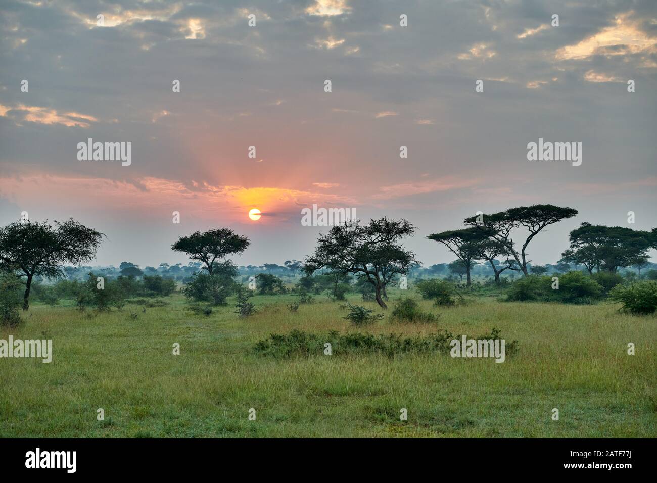 Paisaje con amanecer en el Parque Nacional Serengeti, Patrimonio de la Humanidad de la UNESCO, Tanzania, África Foto de stock