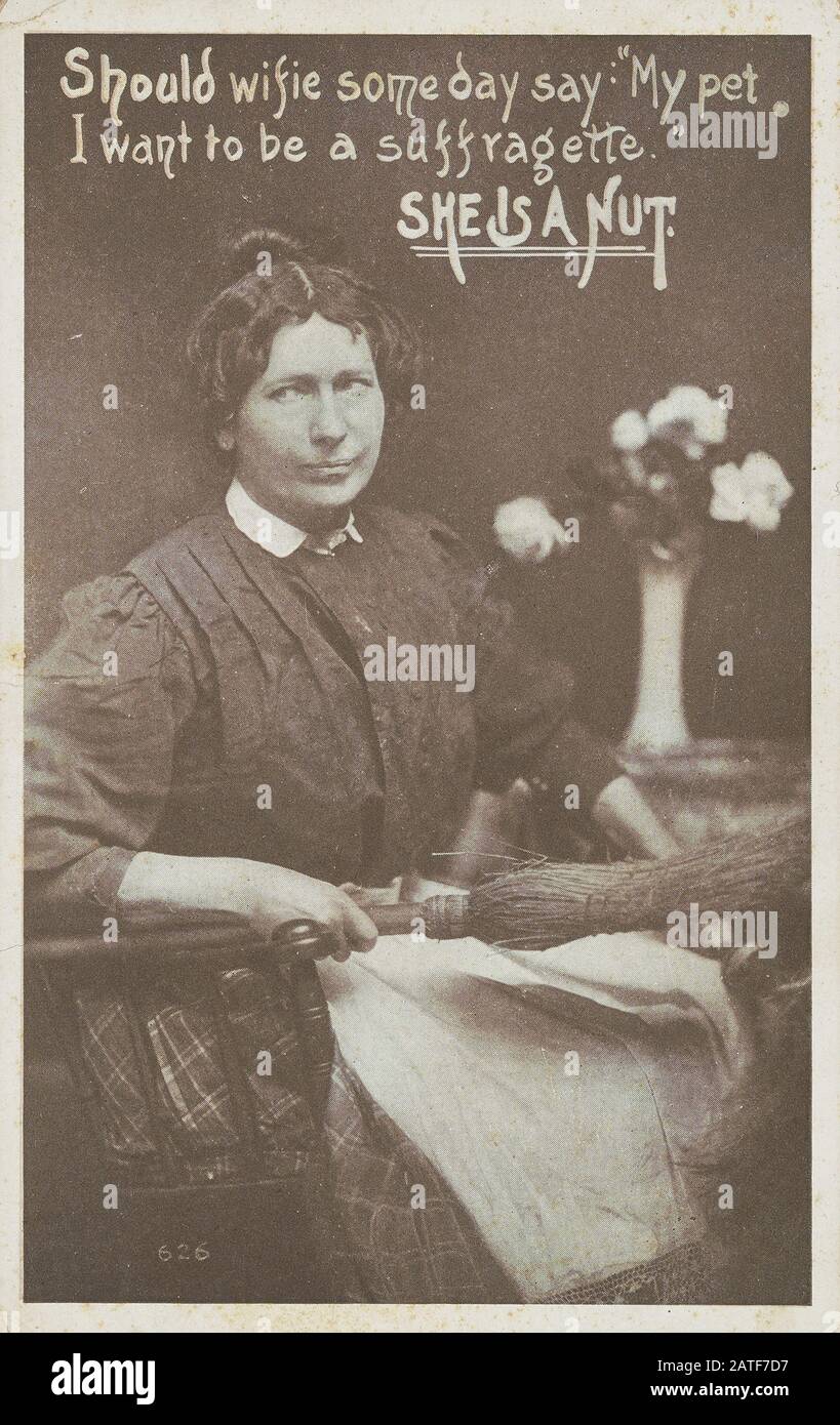 Ella es una tuerca - sufragio femenino en los Estados Unidos 1840' 1920' Foto de stock