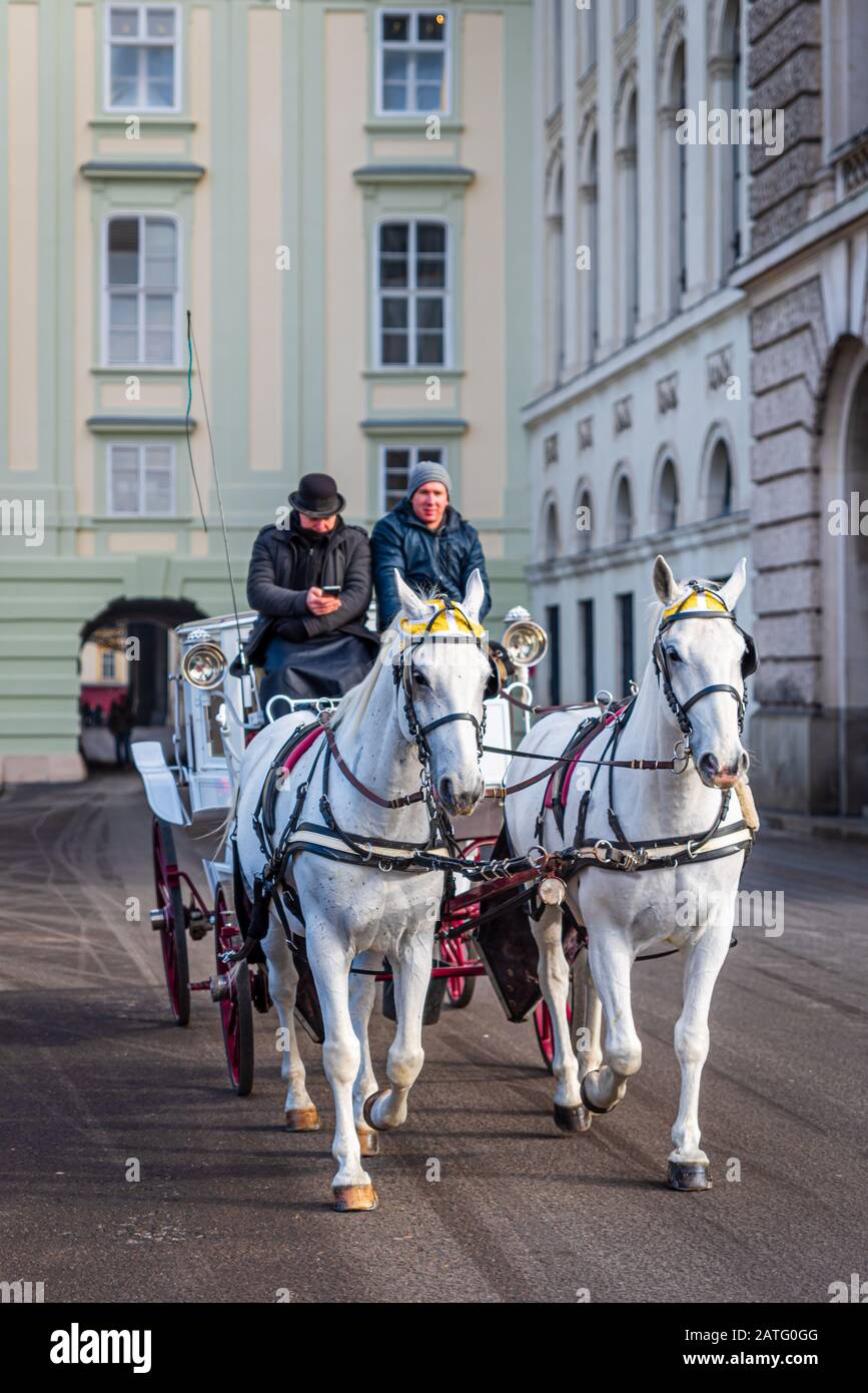 Carruaje tirado por caballos, Fiaker, en Viena, Austria Foto de stock