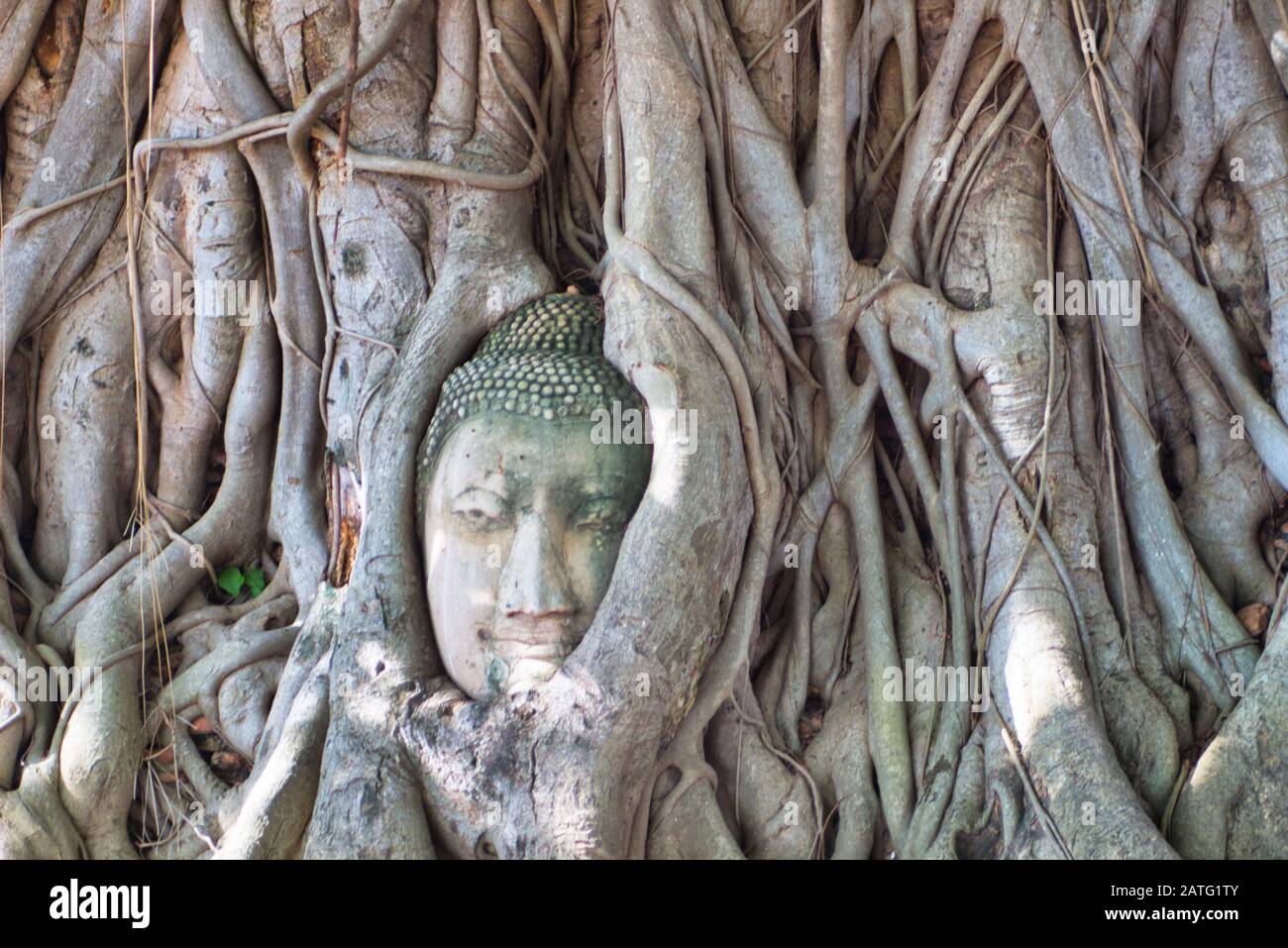 Ayutthaya, Tailandia Foto de stock