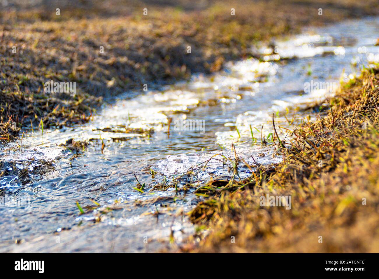 un arroyo de primavera parcialmente cubierto de hielo fluye entre la hierba seca Foto de stock