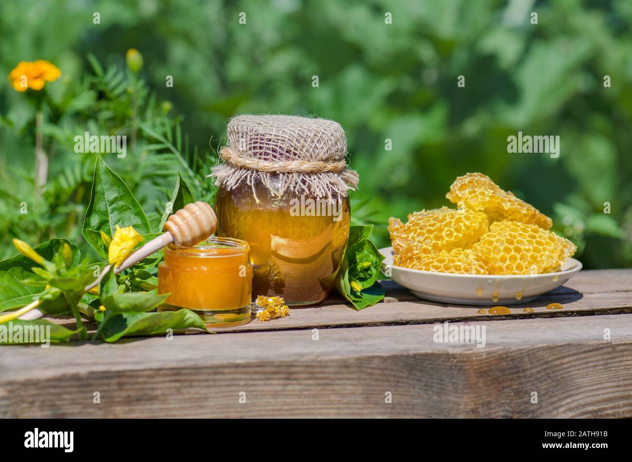 Miel en el fondo de panal. Miel en un tarro de vidrio y panal de miel  Fotografía de stock - Alamy