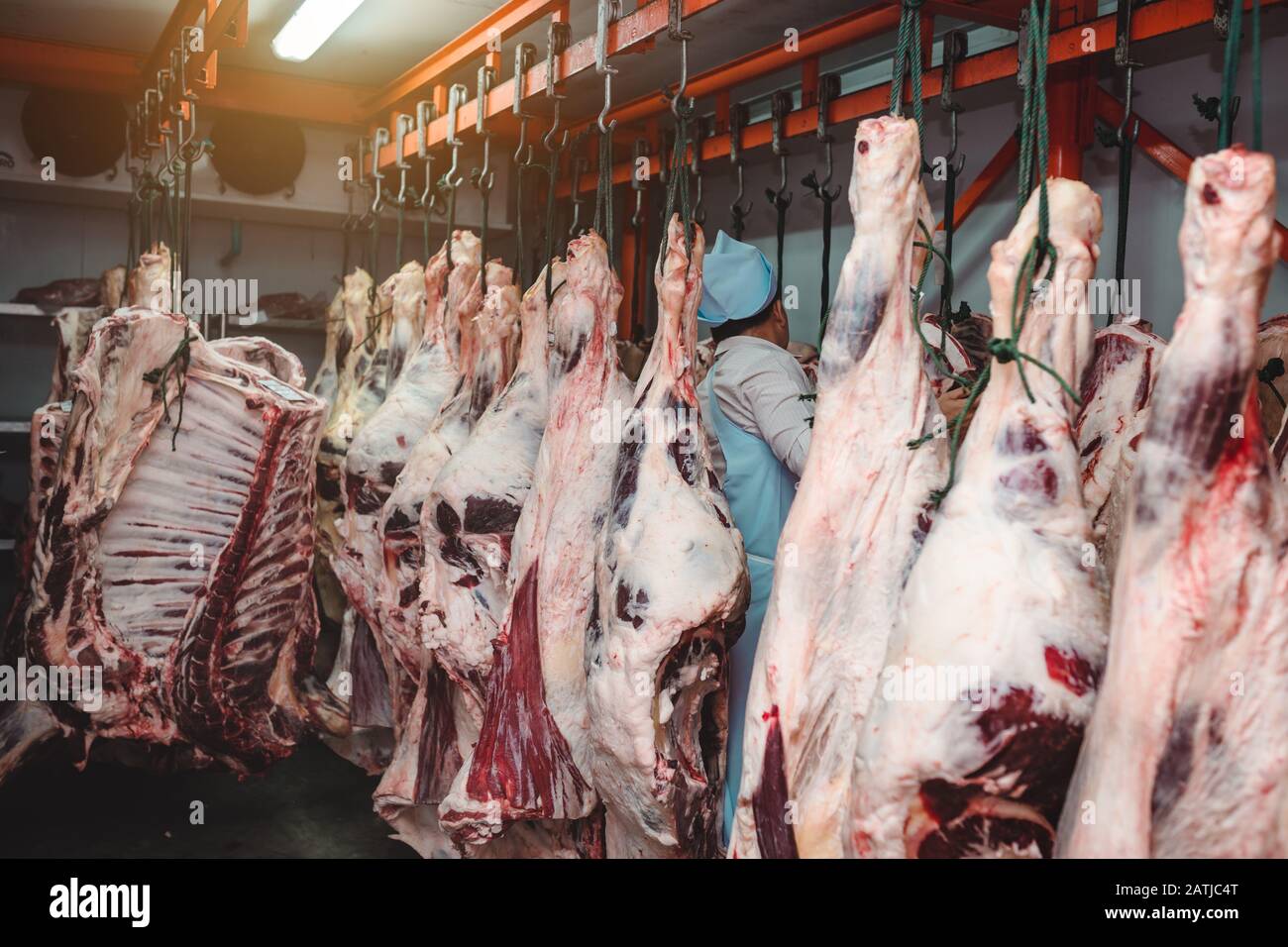 Carne de graneros o habitaciones frías para mantener la carne de vacuno de buena calidad de una carnicería. Foto de stock