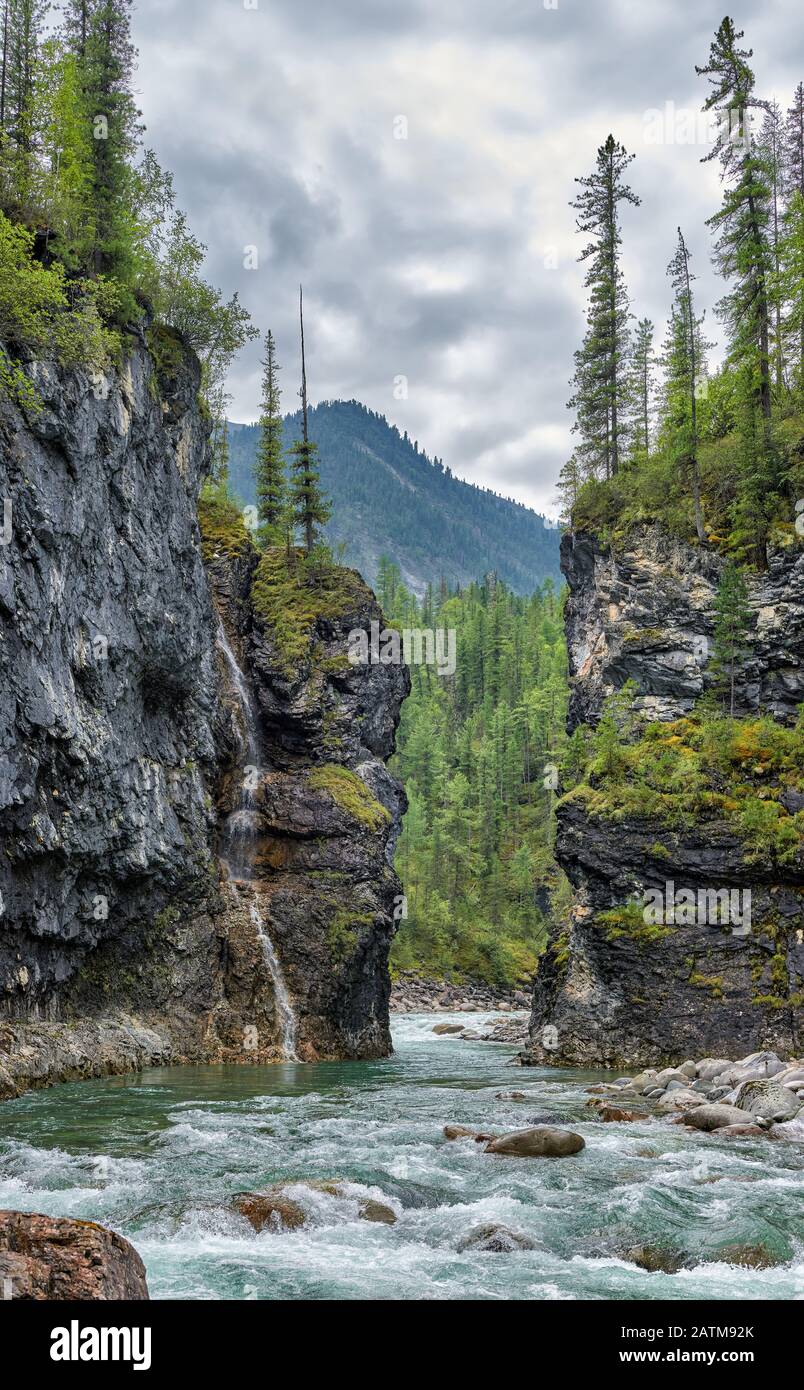 Estrecho paso de un río de montaña en un cañón. En el acantilado hay una cascada de un pequeño arroyo. Río Bilyuty. Este De Sayan. Buryatia Foto de stock