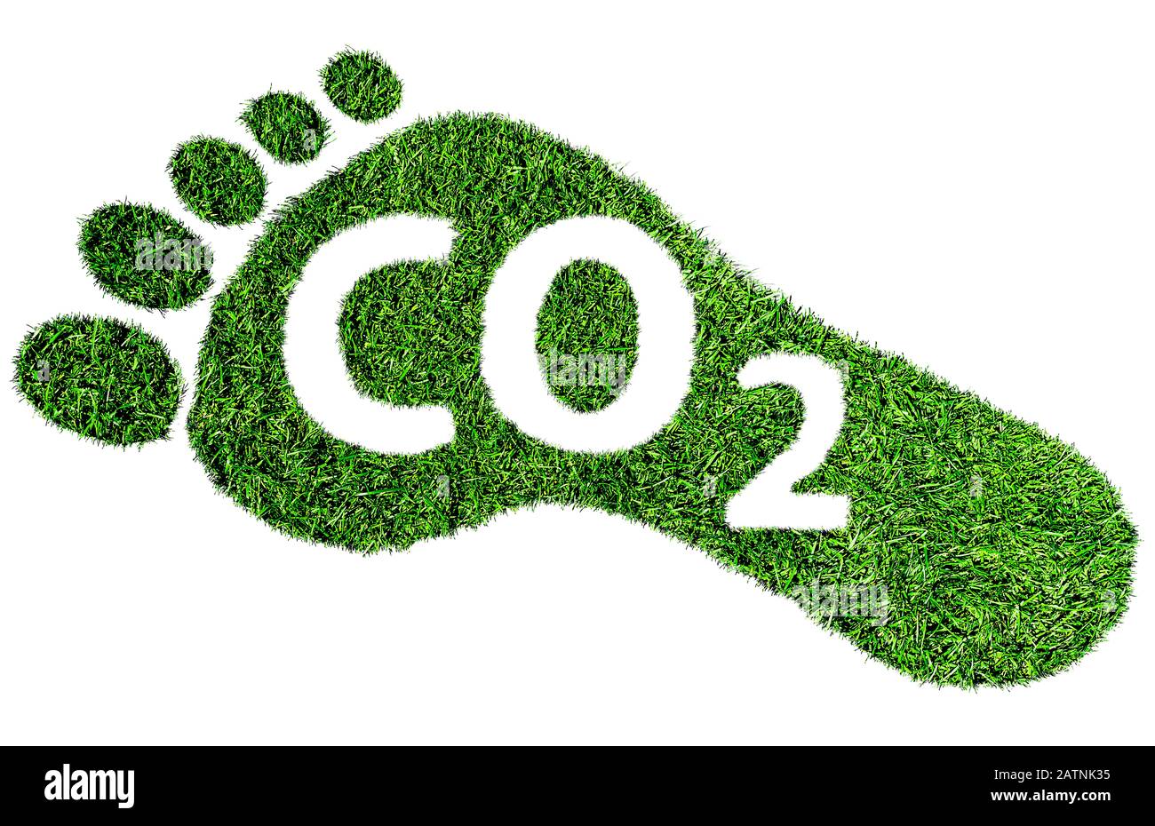 Símbolo o concepto de huella de carbono, huella descalza de hierba verde exuberante con texto CO2 Foto de stock