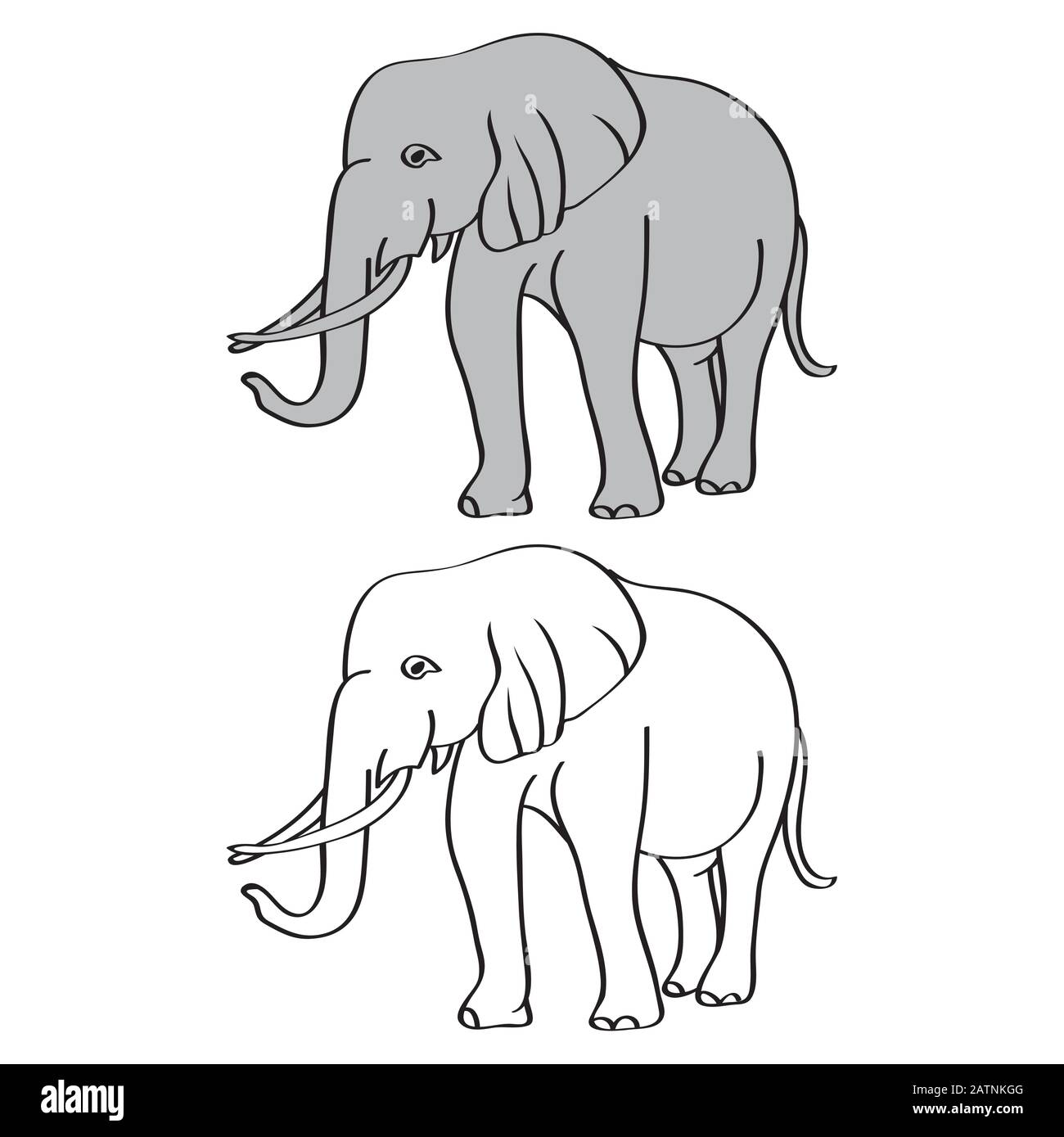 Orejas de elefante dibujo Imágenes vectoriales de stock - Alamy Orejas de elefante dibujo Imágenes vectoriales de stock - Alamy