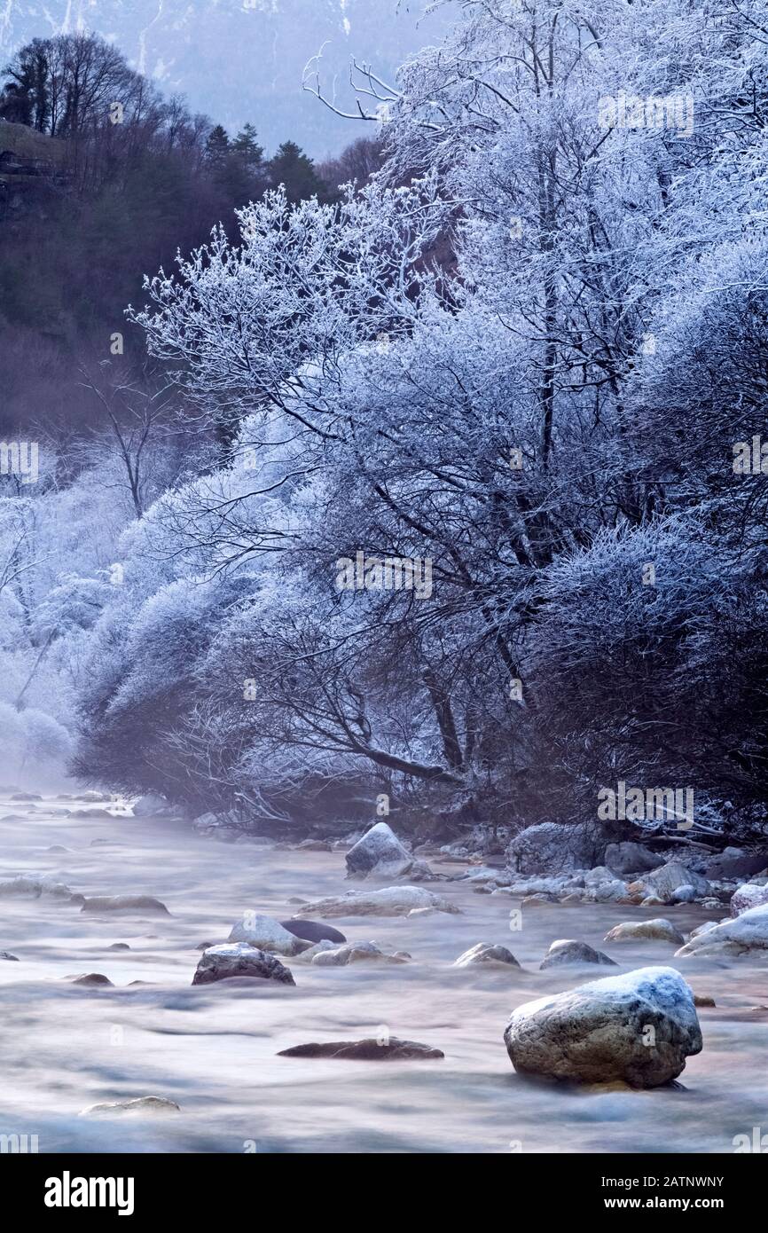 El arroyo Leno en un helado día de invierno. Trabileno, Provincia De Trento, Trentino Alto-Adige, Italia, Europa. Foto de stock