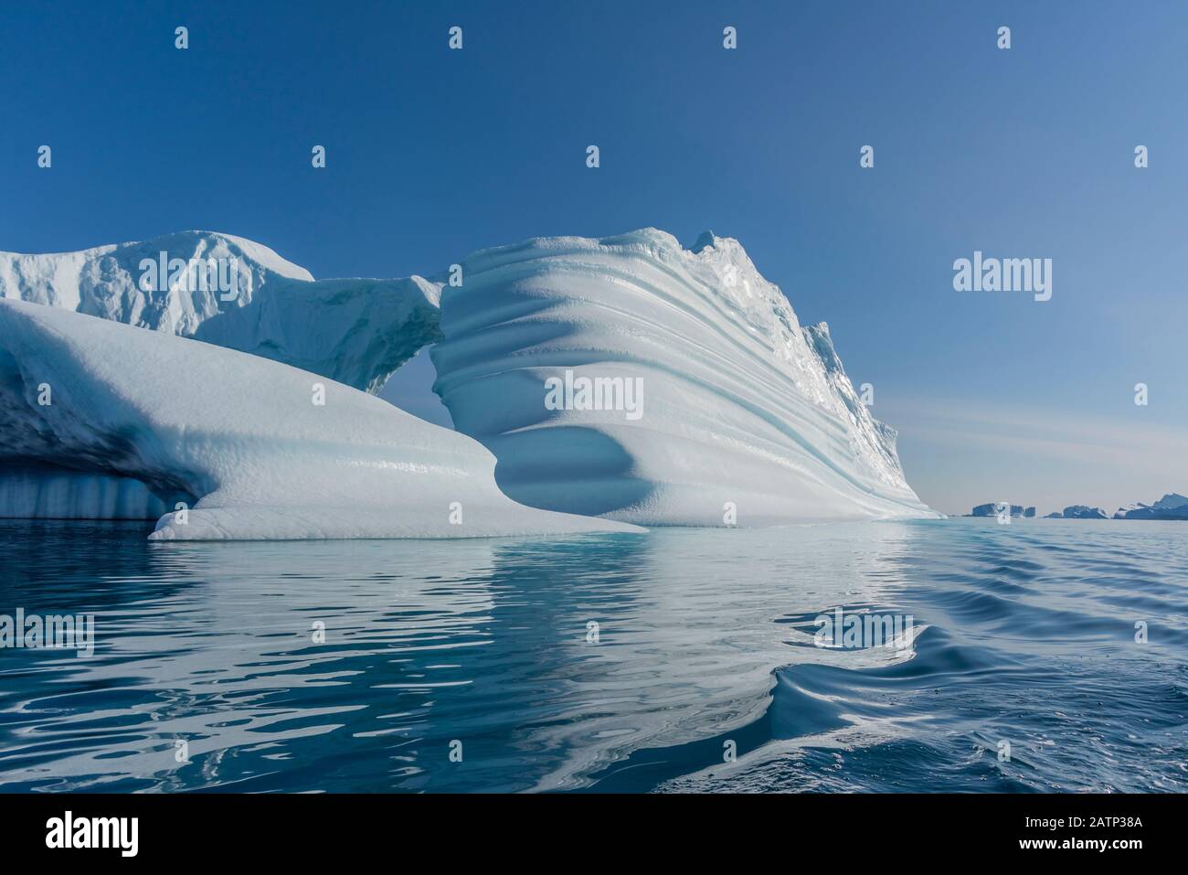 Icebergs en Hall Bredning, parte del sistema de fiordos Scoresbt Sound Foto de stock