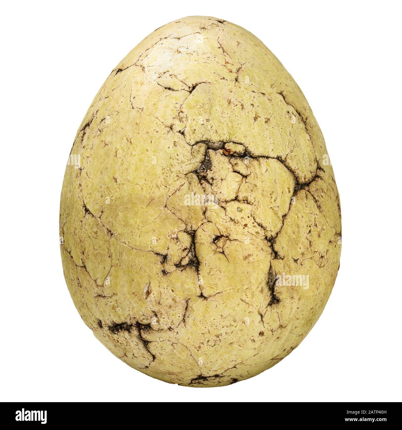 Antiguo huevo de piedra fósil con grietas aisladas sobre fondo blanco  Fotografía de stock - Alamy