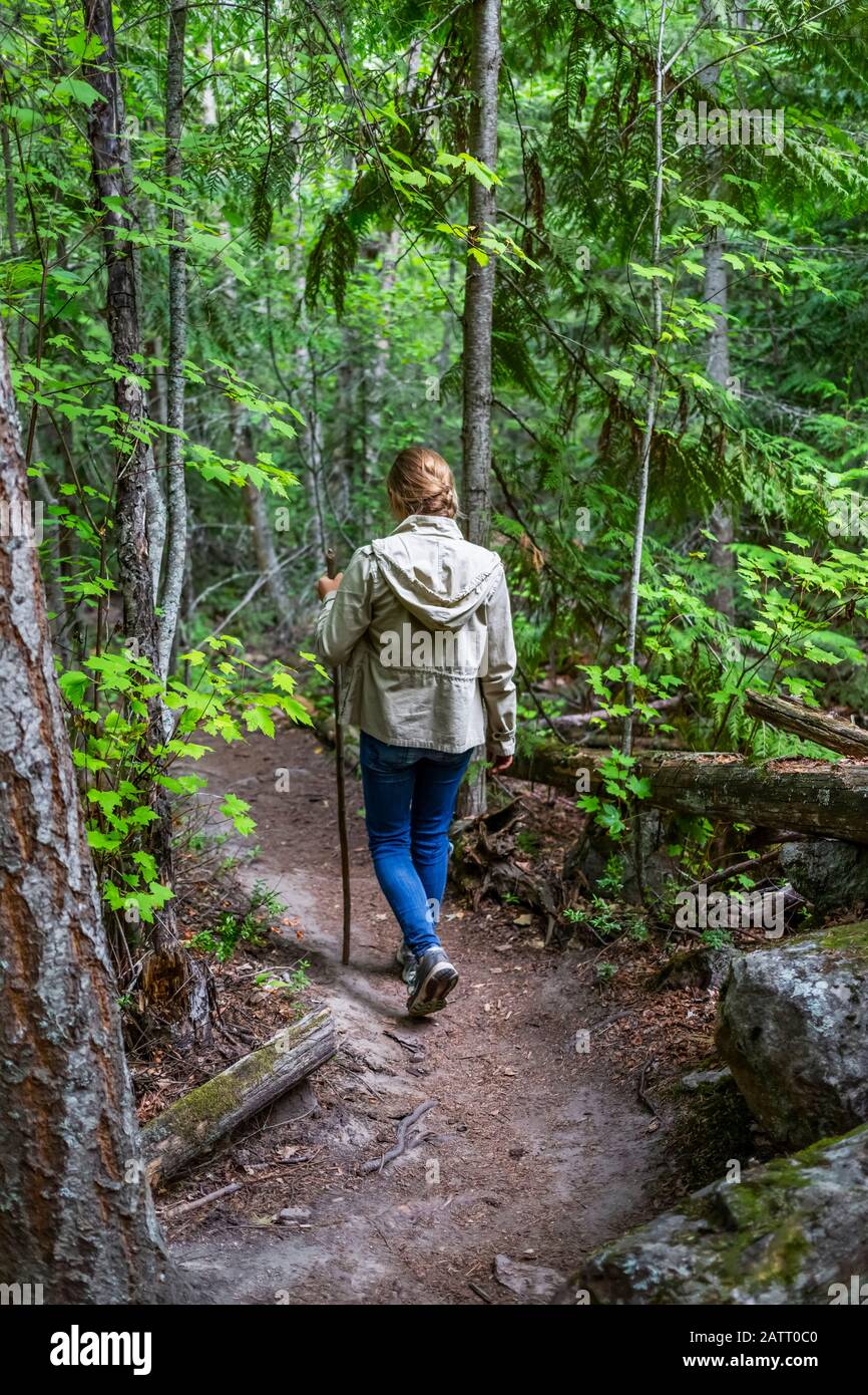 Niña preadolescente caminando por un sendero en un bosque exuberante; Salmon Arm, Columbia Británica, Canadá Foto de stock
