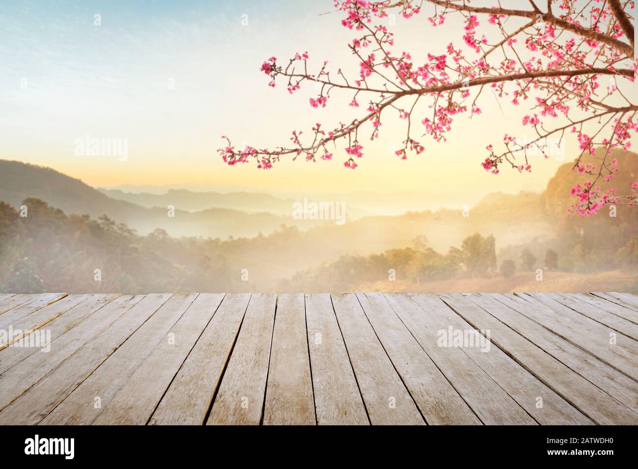 Mesa de madera vacía y flor sakura con niebla y fondo de luz matutina. Foto de stock