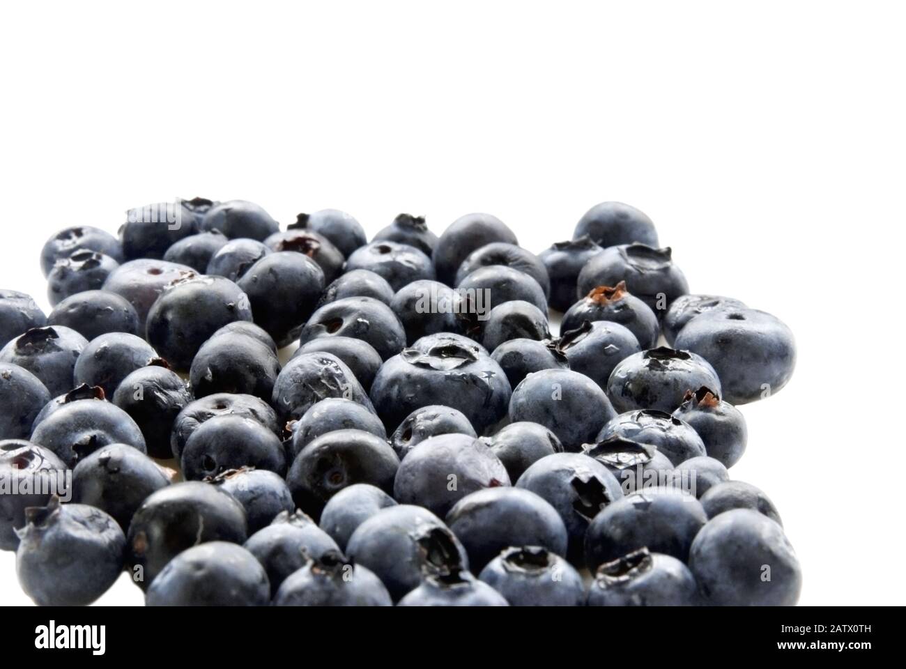 Arándanos húmedos recién lavados sobre un fondo blanco. Enfoque selectivo en los arándanos medios. Enfoque selectivo con espacio de copia. Foto de stock