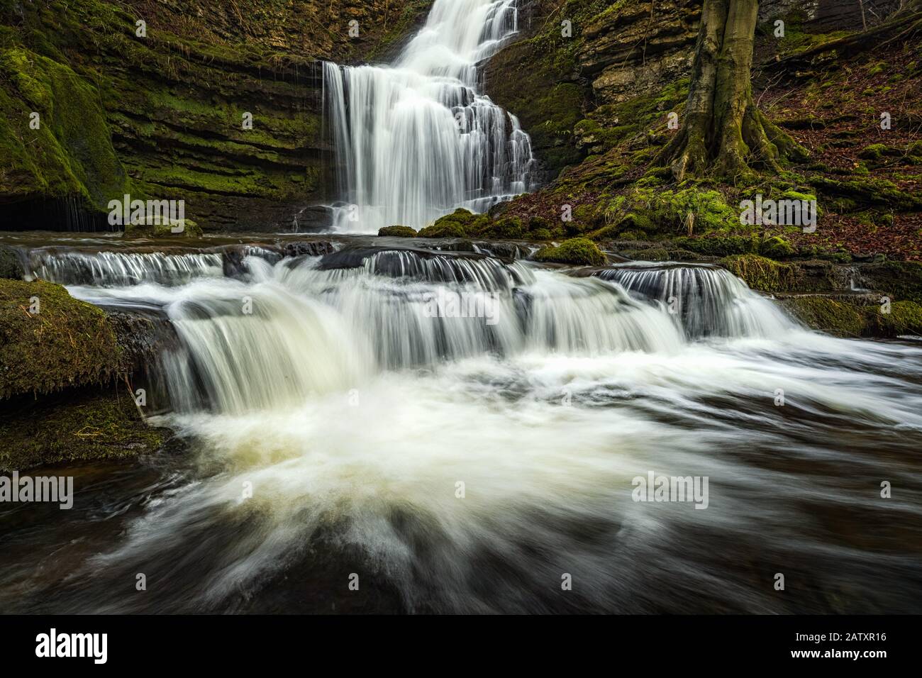 Scaleber Force Waterfall Cerca De Establecerse En El Parque Nacional Yorkshire Dales, Reino Unido Foto de stock