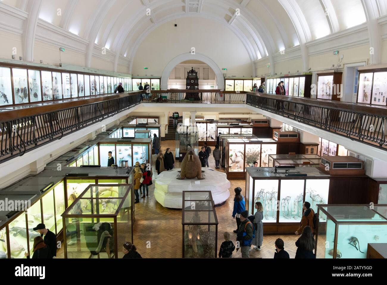 Galería De Historia Natural, El Museo Horniman, Londres Foto de stock