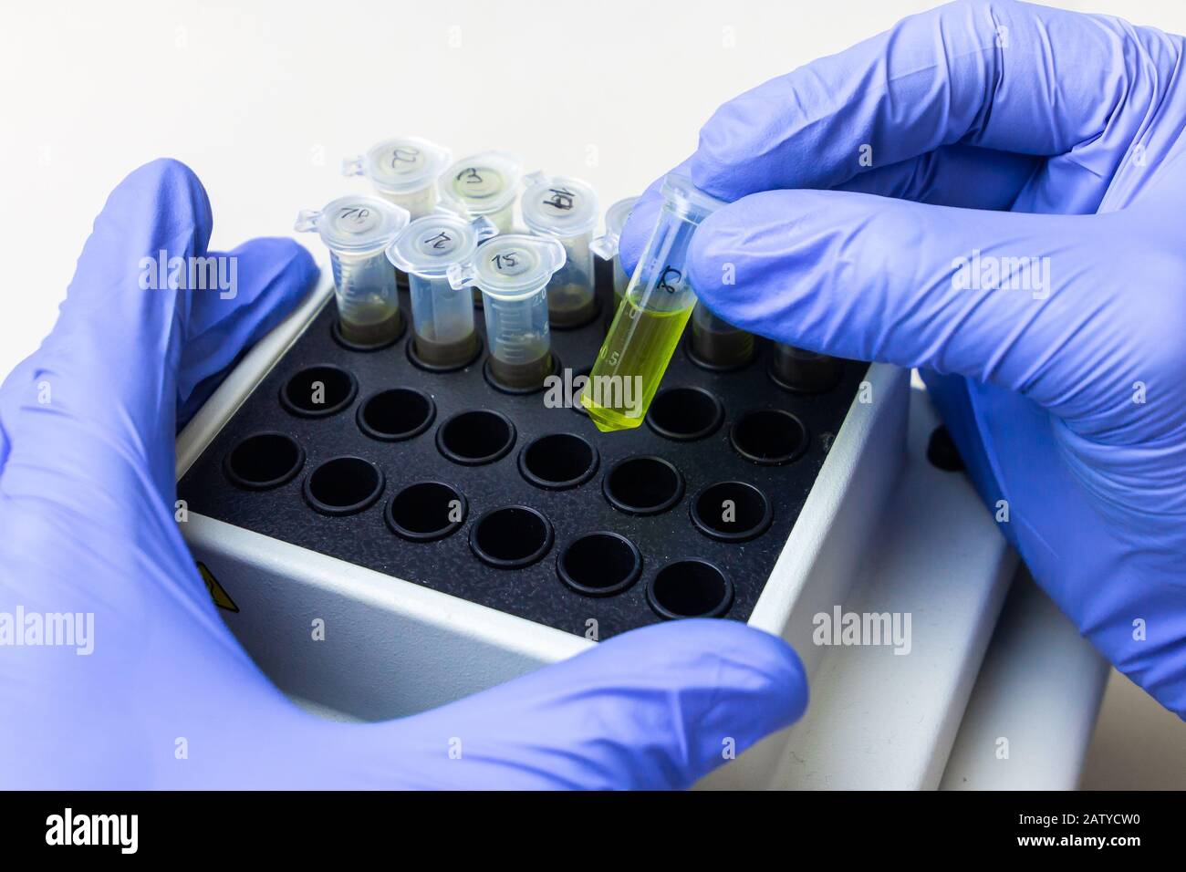 La sustancia verde en el microtubo se coloca en el agitador térmico
