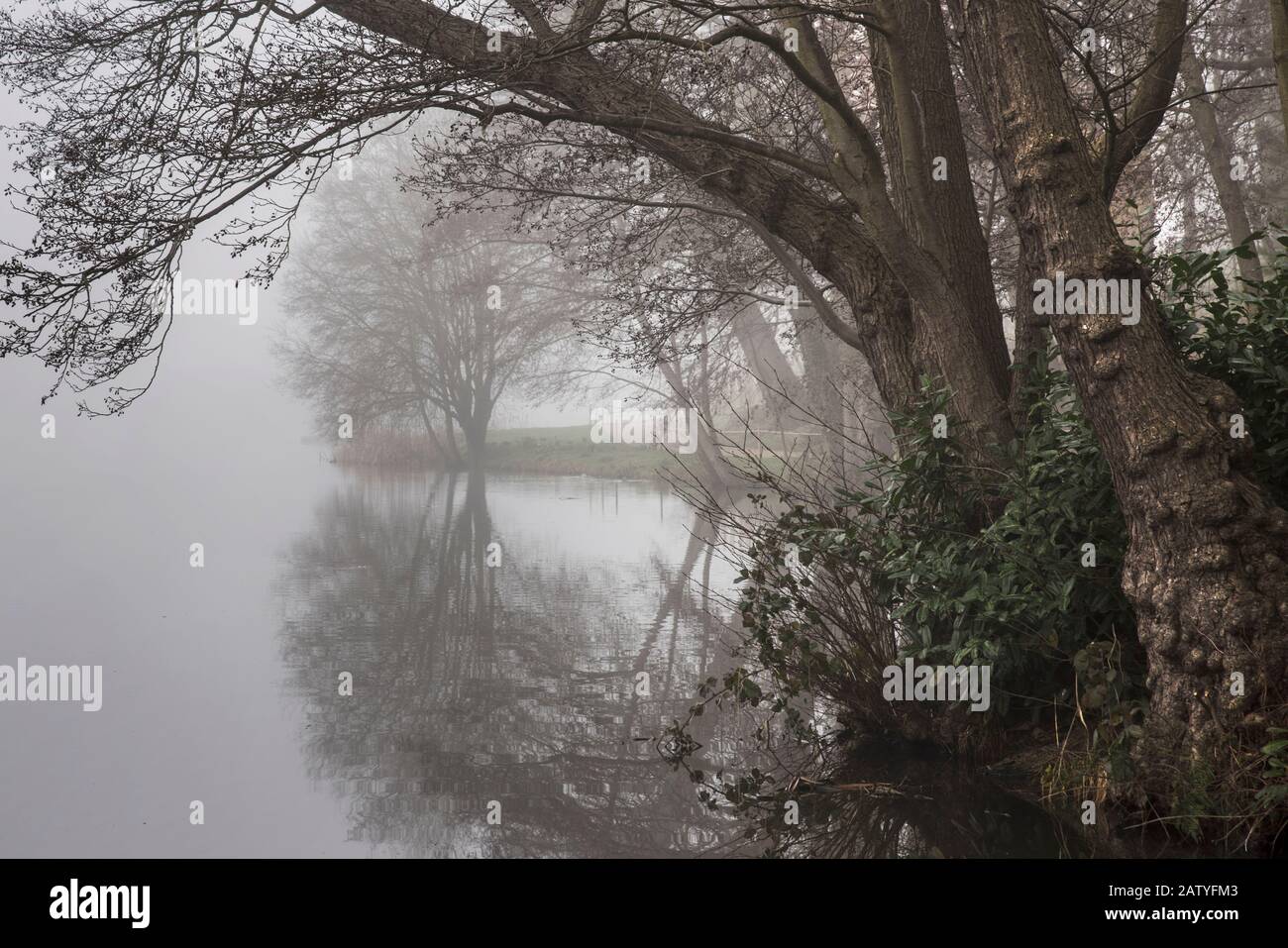 niebla que se reúne sobre el lago a primera hora de la mañana Foto de stock